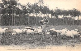 40-SCENE DES LANDES-BERGER-N°2153-H/0231 - Sonstige & Ohne Zuordnung