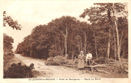 41-SAINT LEONARD EN BEAUCE-N°2153-H/0381 - Autres & Non Classés