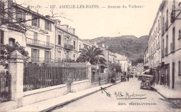 66-AMELIE LES BAINS-N°2157-A/0191 - Autres & Non Classés