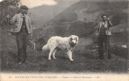 65-SCENE DES PYRENEES-CHIEN DES PYRENEES-N°2157-A/0051 - Other & Unclassified