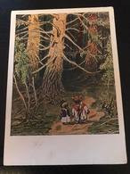 Russian  Fairy Tale - OLD USSR  Postcard   "Greedy Bear Cubs " By Rachev - 1955 Bear - Beren