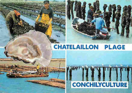 Metiers - Conchyliculture - Culture Coquillages Comestibles - Conchylicultureur - Chatelaillon Plage - Multivues - Flamm - Pesca