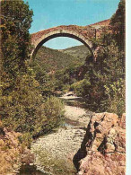 34 - Hérault - Le Pont Du Diable Aux Environs De Lamalou Les Bains - CPM - Voir Scans Recto-Verso - Otros & Sin Clasificación