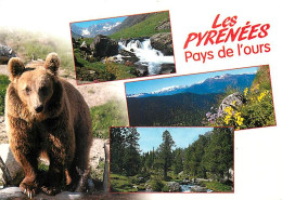 Animaux - Ours - Ours Des Pyrénées - Multivues - Bear - CPM - Voir Scans Recto-Verso - Bären