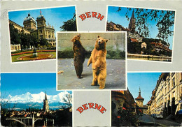 Animaux - Ours - La Fosse Aux Ours De Berne - Multivues - Zoo - Bear - Carte Dentelée - CPSM Grand Format - Voir Scans R - Bears