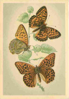 Animaux - Papillons - Papillons Diurnes D'Europe - Série 2 - 16a - Grand Nacré - Argynnis Aglaja L - 16b - Tabac D'Espag - Schmetterlinge