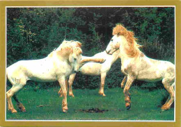 Animaux - Chevaux - La Passion Du Cheval - Photo Serge Farissier - Carte Neuve - Voir Scans Recto Verso  - Paarden
