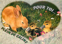 Animaux - Lapins - Canards - CPM - Voir Scans Recto-Verso - Other & Unclassified