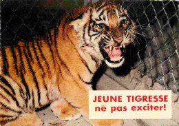 Animaux - Fauves - Tigre - Carte à Message - Carte Humoristique - CPM - Voir Scans Recto-Verso - Tigres