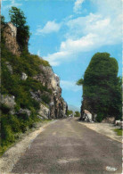 03 - Allier - La Vallée De La Sioule - Le Roc Armand - Mention Photographie Véritable - Carte Dentelée - CPSM Grand Form - Other & Unclassified