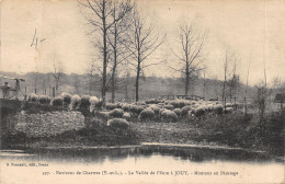 28-JOUY-MOUTONS AU PATURAGE-N°2161-E/0075 - Sonstige & Ohne Zuordnung