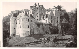 24-FAYRAC-LE CHATEAU-N°2161-C/0261 - Other & Unclassified