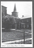 1980  --  BELGIQUE . CIPLET . VUE DU VILLAGE . 4B172 - Non Classés