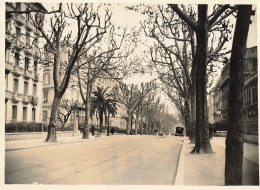 Nice * Une Rue De La Ville * Photo Ancienne 16.5x12cm - Other & Unclassified
