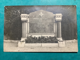 Militaria./ Carte Photo Monument élevé à La Mémoire Des Soldats Français Morts En Captivité Camp De Hammelburg - War 1914-18