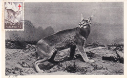 Le Lynx - Sonstige & Ohne Zuordnung