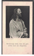 2405-01k Virginie Degryse - Deswaaf Sint Joris Ten Distel 1846 - Aalter 1932 - Andachtsbilder