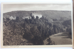 AK Schwarzburg Schloss Mit Hirschwiese Ungebraucht #PD329 - Autres & Non Classés