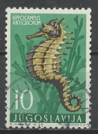 Yougoslavie - Jugoslawien - Yugoslavia 1956 Y&T N°697 - Michel N°795 (o) - 10d Hippocampe - Oblitérés