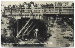 PAYS-BAS - Children Diving For Pennies, Whakarewarewa, Rotorua - CARTE PHOTO - Andere & Zonder Classificatie