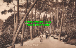 R555768 Bournemouth. The Pine Walk. F. Frith. No. 72698 - World