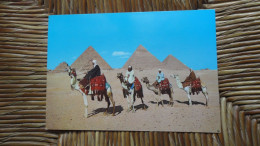 égypte , Giza , Arab Camelriders In Front Of The Pyramids - Gizeh
