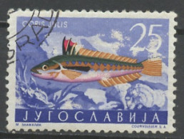 Yougoslavie - Jugoslawien - Yugoslavia 1956 Y&T N°700 - Michel N°798 (o) - 25d Girelle - Used Stamps