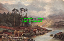 R555812 The Land Of Streams And Heather. S. Hildesheimer. No. 5189. E. Longstaff - World