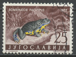 Yougoslavie - Jugoslawien - Yugoslavia 1962 Y&T N°907 - Michel N°1009 (o) - 25d Crapaud - Used Stamps