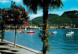 72616260 Garda Lago Di Garda Lungo Lago Uferpromenade Am Gardasee Garda Lago Di  - Autres & Non Classés