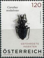 AUSTRIA - 2024 - STAMP MNH ** - Black Pit Beetle (Carabus Nodulosus) - Ungebraucht