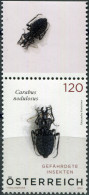 AUSTRIA - 2024 - STAMP MNH ** - Black Pit Beetle (Carabus Nodulosus) (I) - Ungebraucht