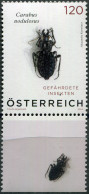 AUSTRIA - 2024 - STAMP MNH ** - Black Pit Beetle (Carabus Nodulosus) (VI) - Neufs