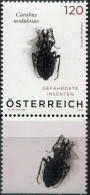 AUSTRIA - 2024 - STAMP MNH ** - Black Pit Beetle (Carabus Nodulosus) (V) - Unused Stamps