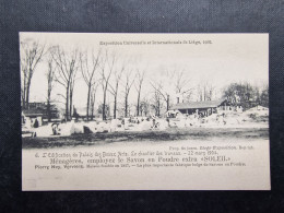 CP BELGIQUE (M2409) LIEGE EXPOSITION 1905 (2 Vues) Pierre Ney Verviers Soleil Le Palais Des Beaux-Arts Le 22 Mars 1904 - Luik