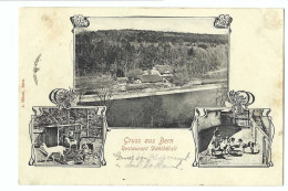 32571 - Gruss Aus Bern Restaurant Dählhölzli Multivues  Circulée1905 - Berne