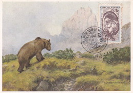Carte Postale Ours - Other & Unclassified