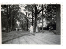 Ref 3 - Photo : Soesterberg Ou Environs ? , Pays Bas / Hollande  . - Europa