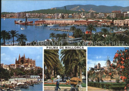 72615061 Palma De Mallorca Muenster Hafen  Palma De Mallorca - Andere & Zonder Classificatie