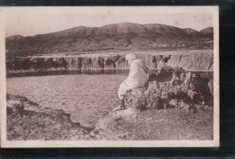 Cpa Bikra Le Lac De Fontaine Chaude - Biskra