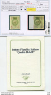 Accademia Dei Lincei  0,41 Varietà Certificato Bolaffi - Plaatfouten En Curiosa