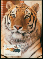 Mk Portugal Maximum Card 1984 MiNr 1617 | Centenary Of Lisbon Zoo. Siberian Tiger #max-0098 - Maximumkaarten