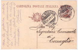 1917-EDOLO-BRESCIA/(1) C.2 (26.4) Su Cartolina Postale C.40 Mill. 25 - Entiers Postaux