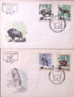 1954-POLONIA Animali Della Foresta Serie Cpl. NON DENTELLATA (785/8) Due Fdc - FDC