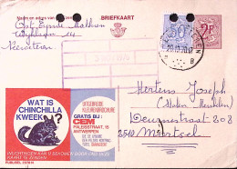 1970-Belgio Cartolina Postale Pubblicitaria WAT IS CHINCHILLA KWEEK Viaggiata, F - Other & Unclassified