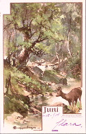 1901-Svizzera Juni, Serie II, Viaggiata Berna (6.12) Per L'Italia - Postmark Collection