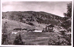 1958-ALPE Di SIUSI Albergo Pensione Bellavista Viaggiata - Bolzano (Bozen)