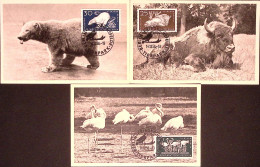 1956-GERMANIA DDR Parco Zoologico Berlino Serie Cpl. (276/1) Sei Fdc Maximum - Covers & Documents