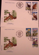 1985-Romania Animali Parco Nazionale Serie Cpl. Tre Fdc - FDC