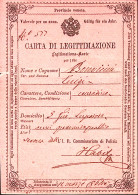 1863-CARTA DI LEGITTIMAZIONE Rilasciata Verona 16.3. - Historische Documenten